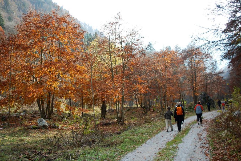 Agriturismo Bio-Ecologico Sant'Isidoro Roccaforte Mondovì Exterior foto